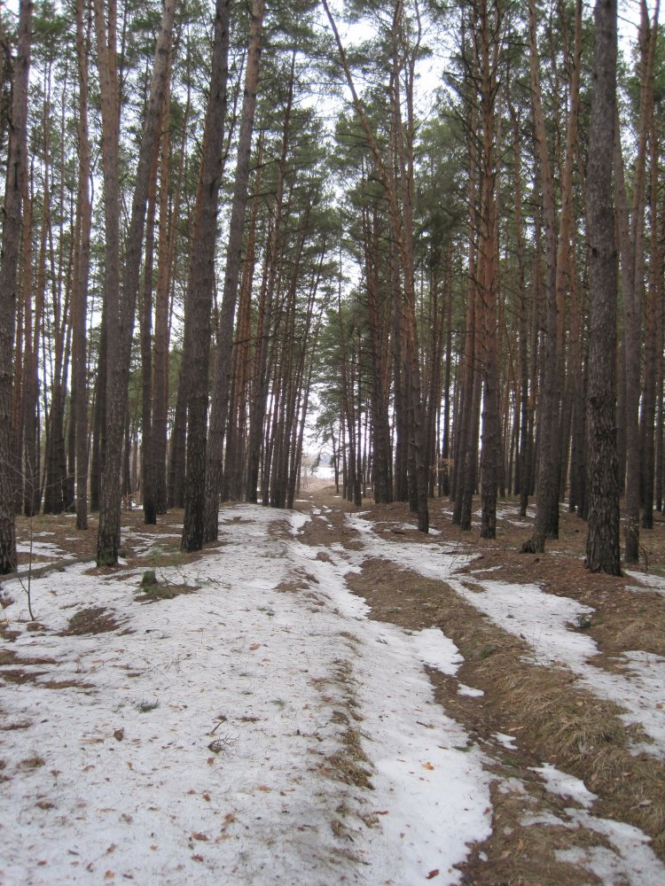 IMG_1086.JPG