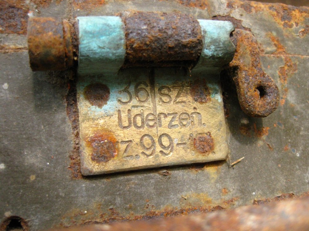 IMG_1231.jpg