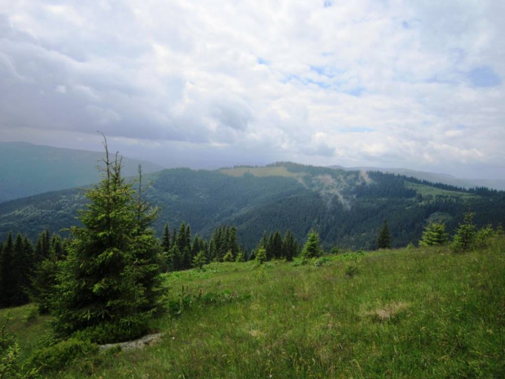 IMG_1446.JPG