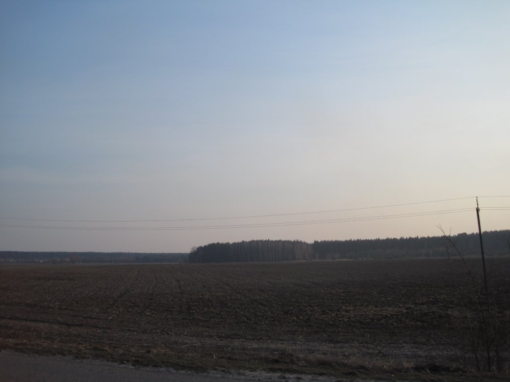 IMG_1613.JPG
