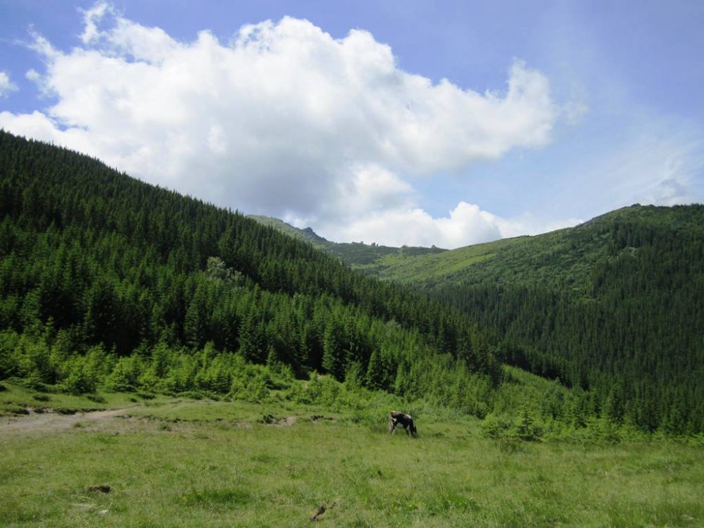IMG_1614.JPG