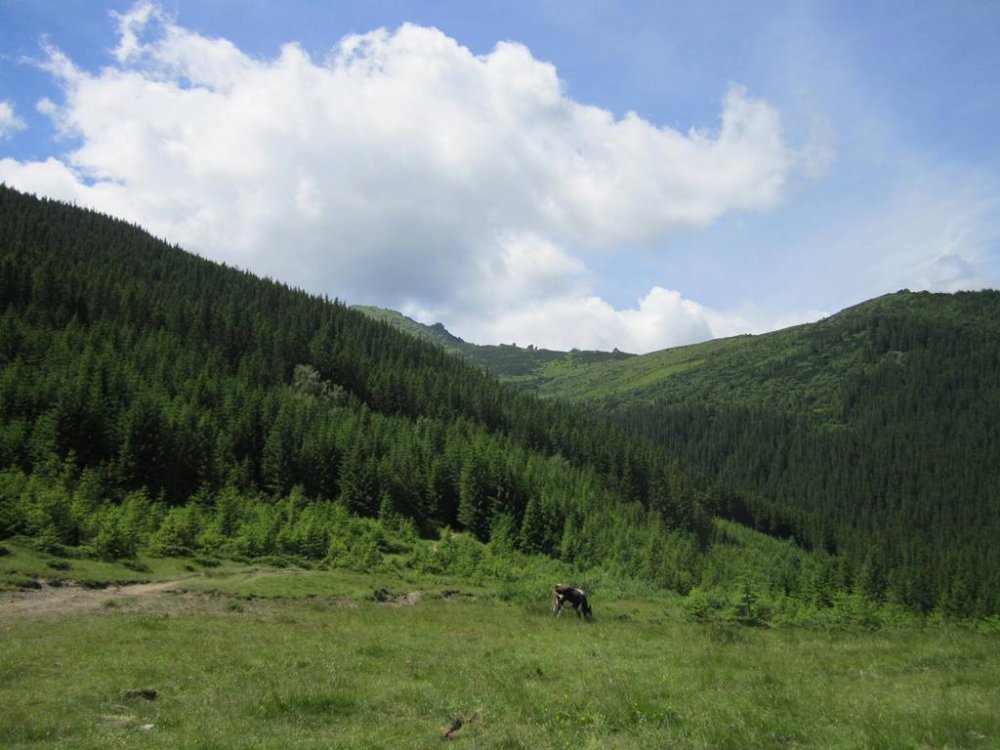IMG_1614.JPG