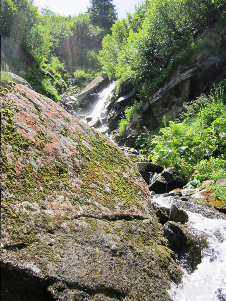 IMG_1635.JPG
