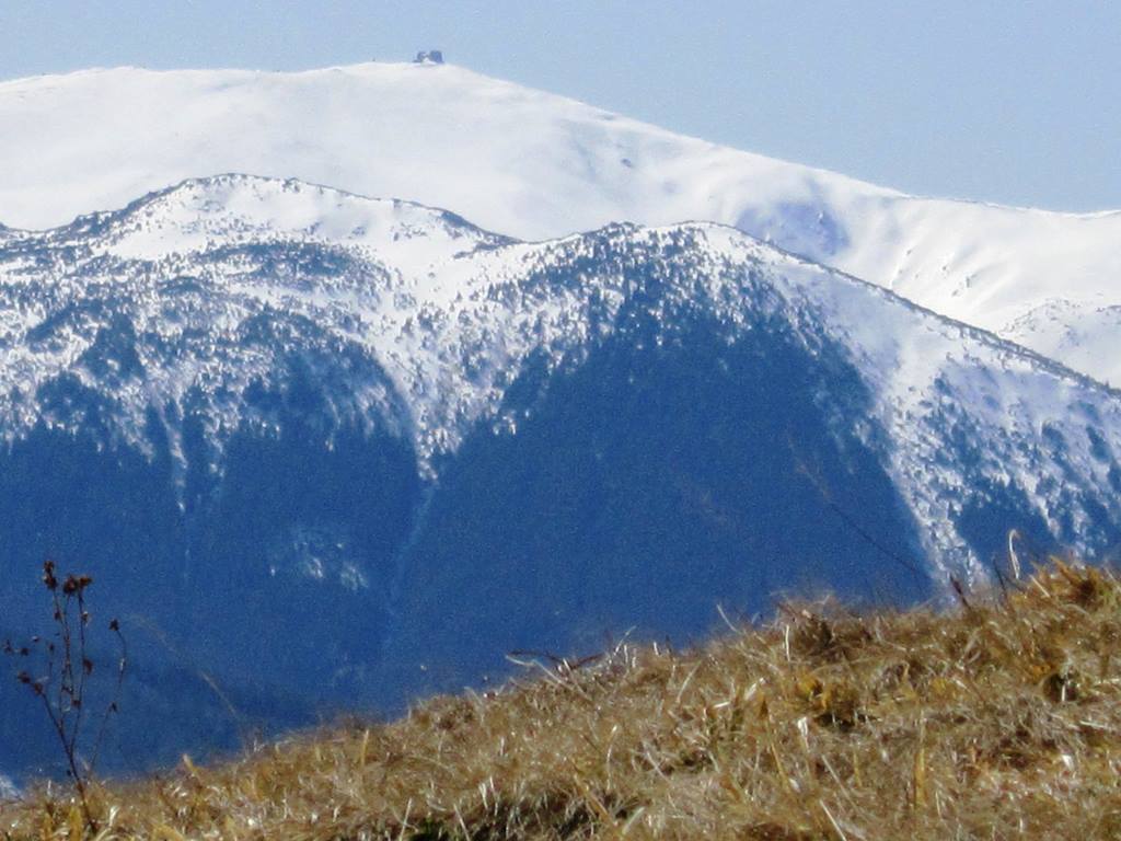 IMG_1729.JPG