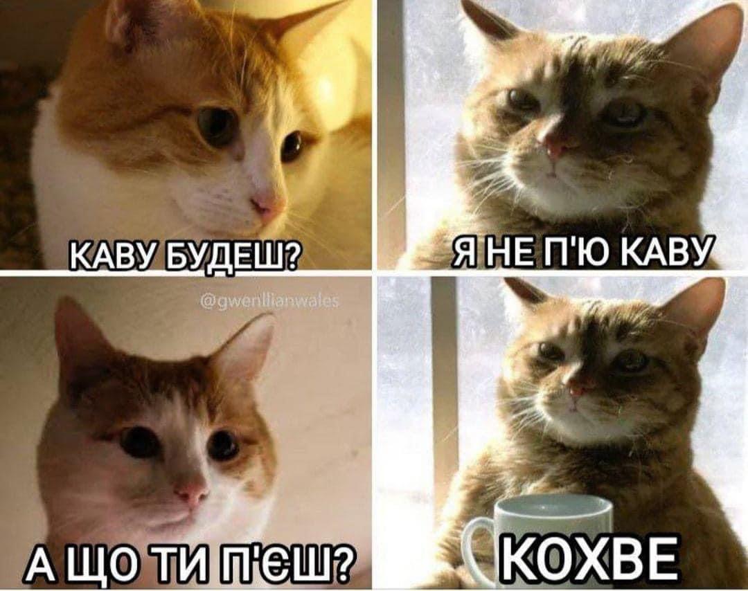 IMG_1933.jpeg