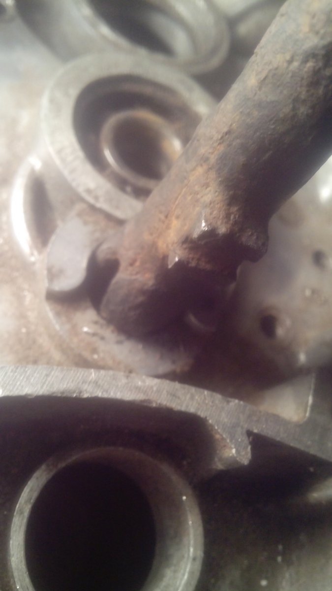 IMG_20120109_044143.jpg