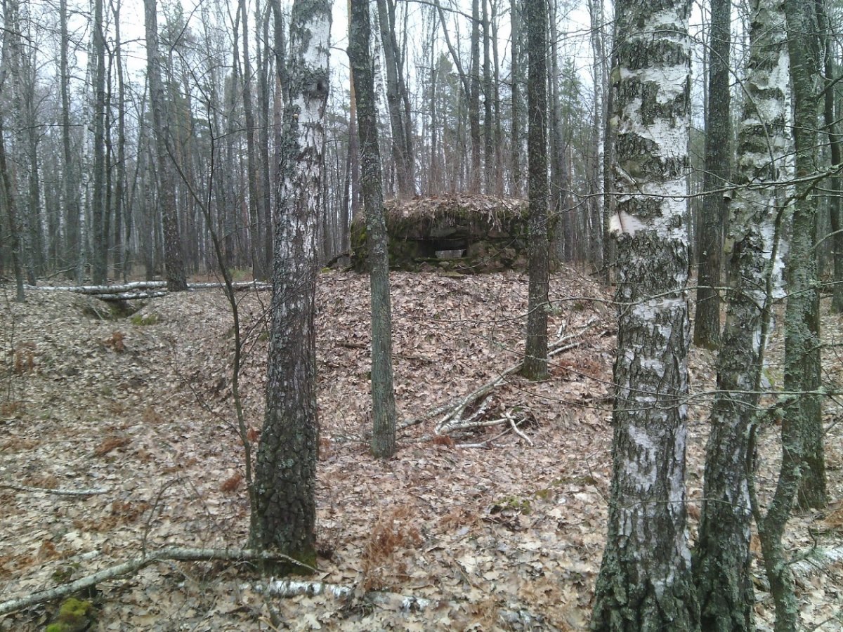 IMG_20160315_130233.jpg