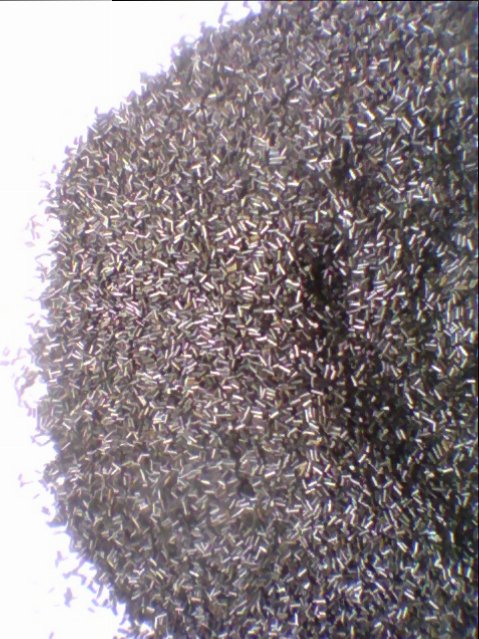 IMG_20160416_125341.jpg