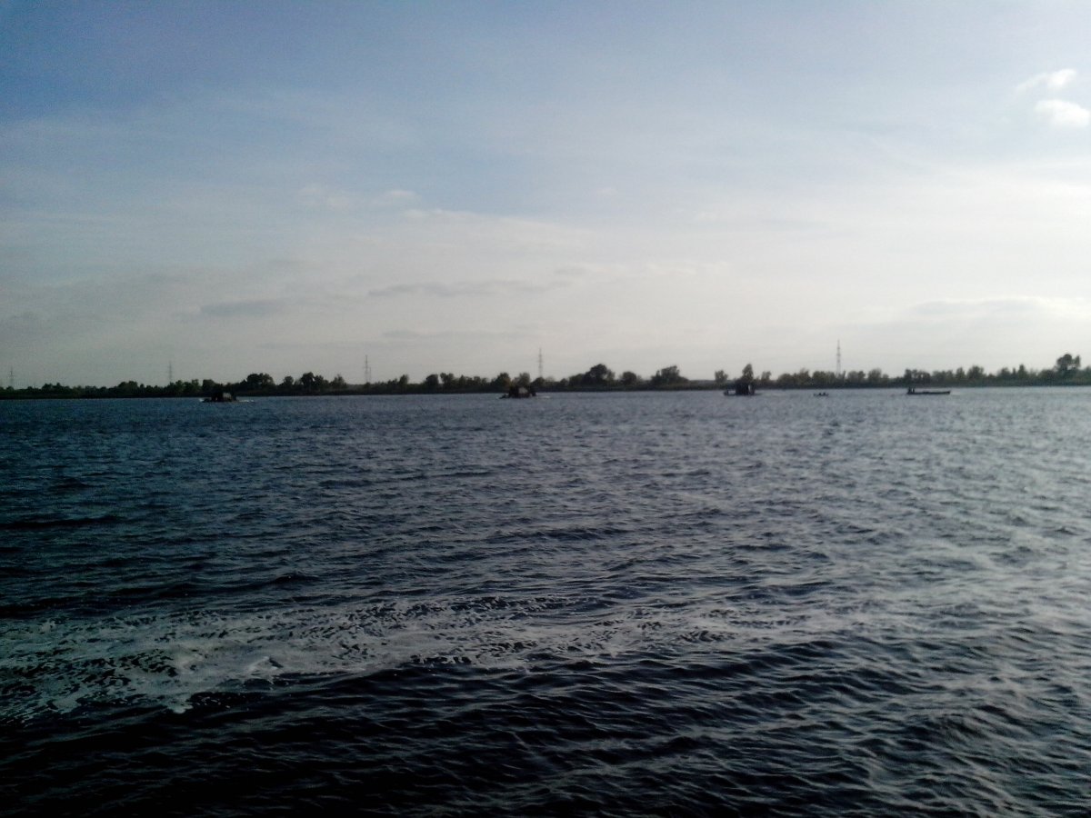 IMG_20161019_154216.jpg