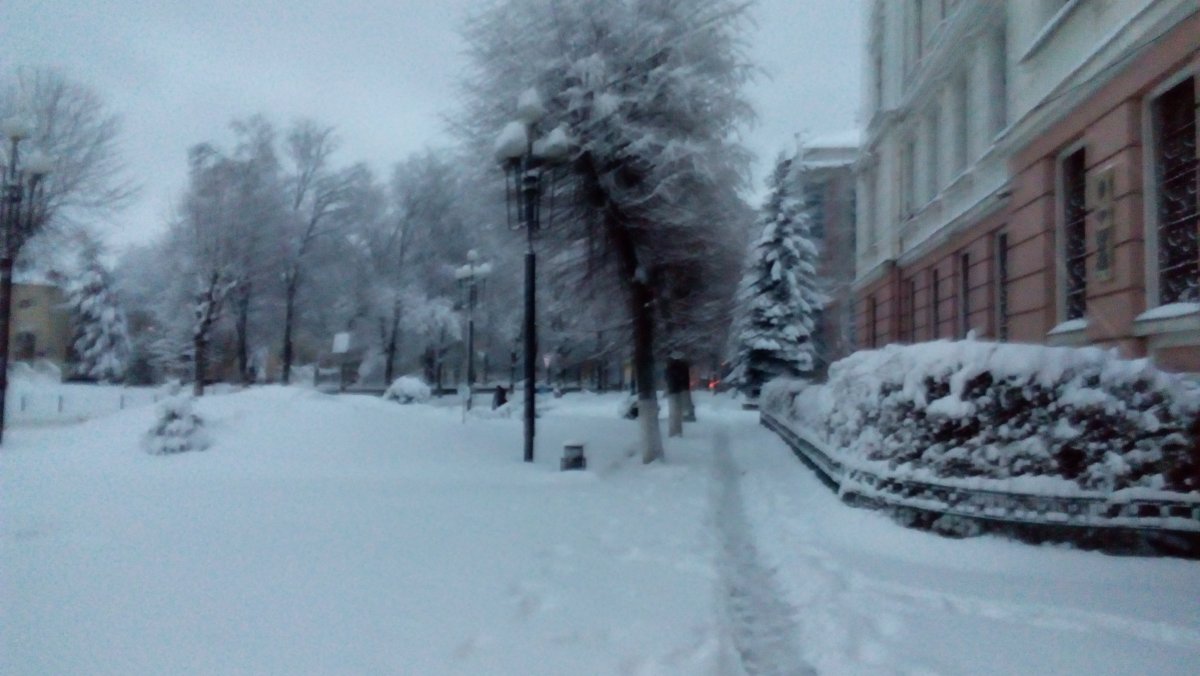 IMG_20161113_170048.jpg
