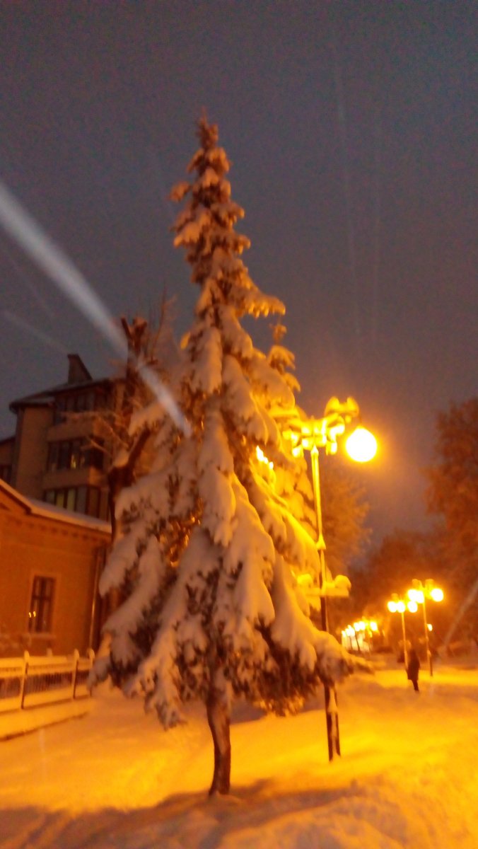 IMG_20161113_171350.jpg