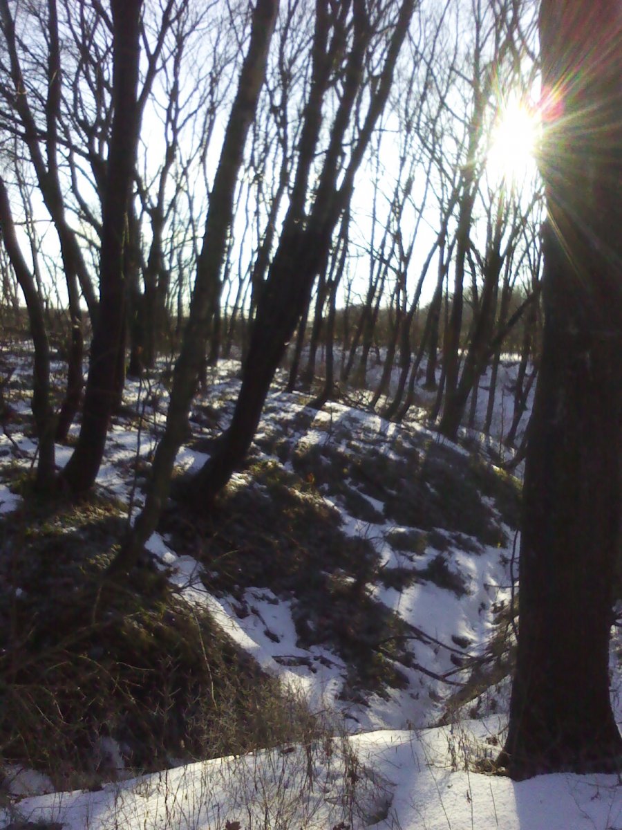 IMG_20161211_095023.jpg