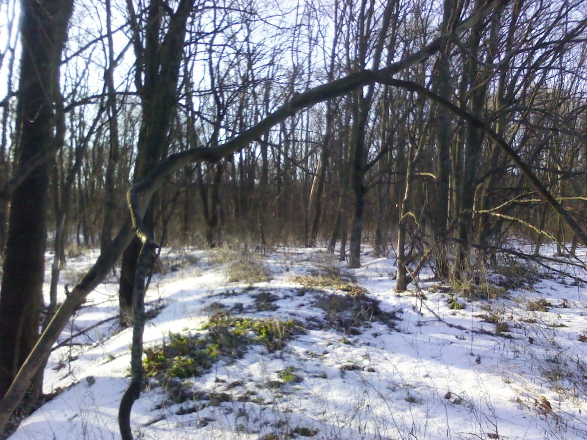 IMG_20161211_095032.jpg