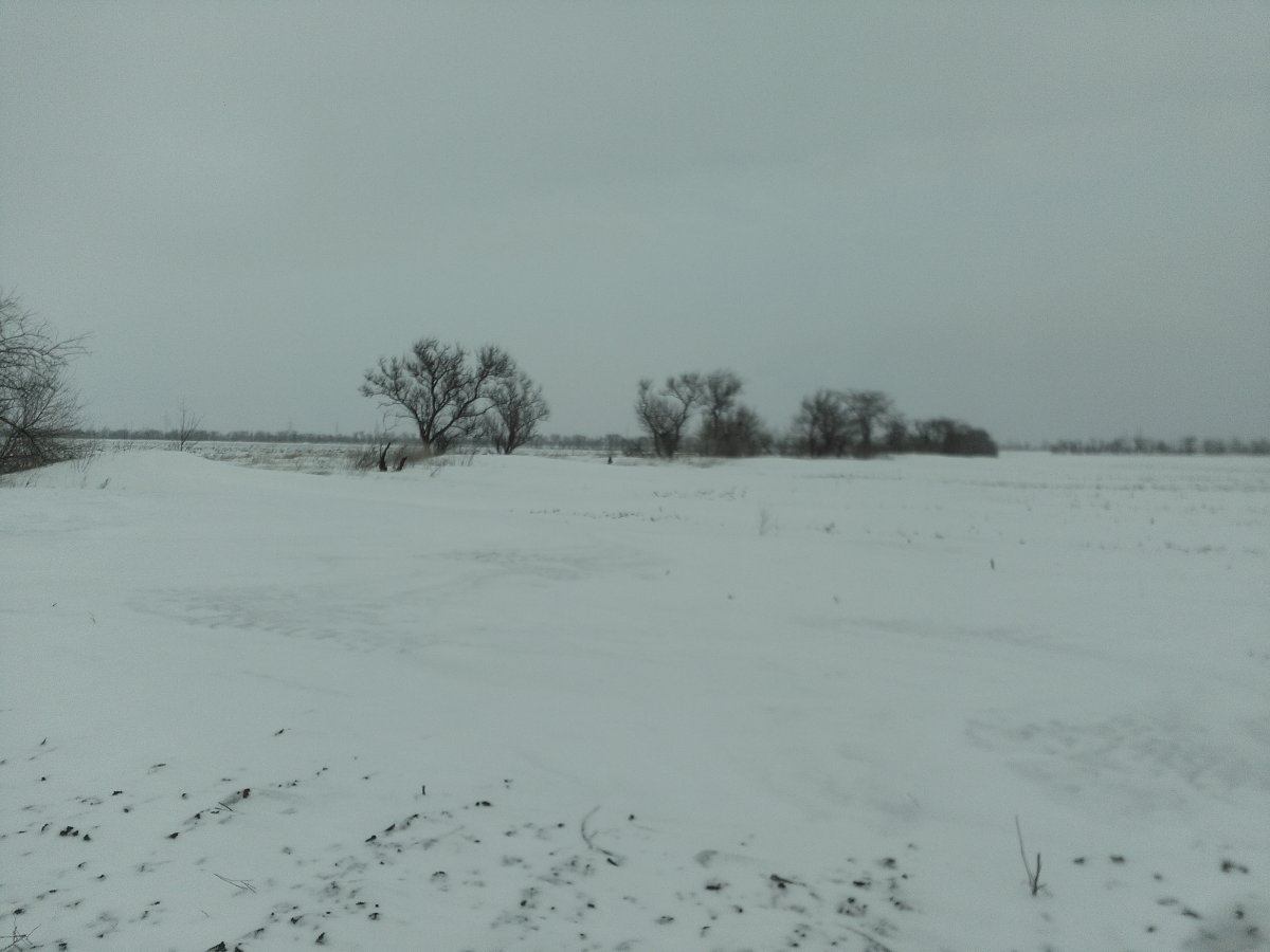 IMG_20170108_145246.jpg
