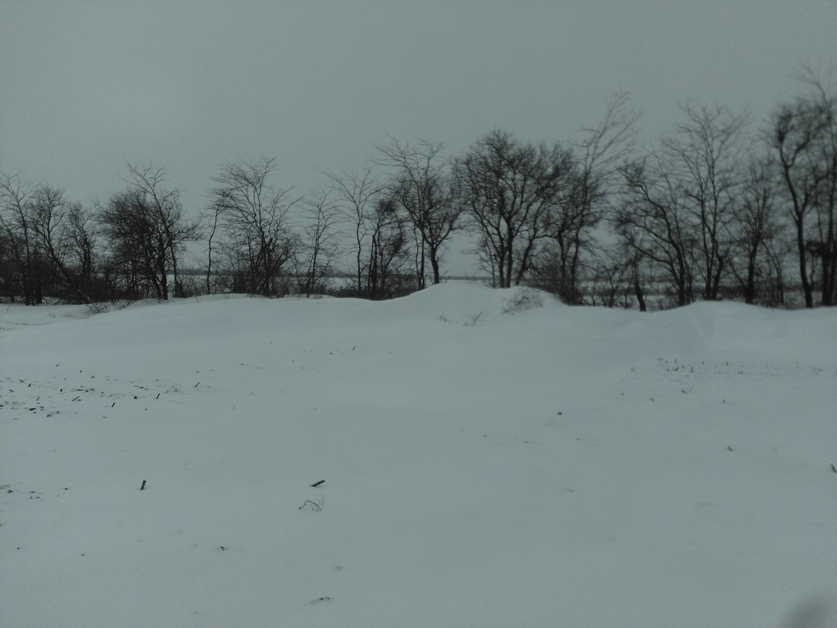 IMG_20170108_145518.jpg