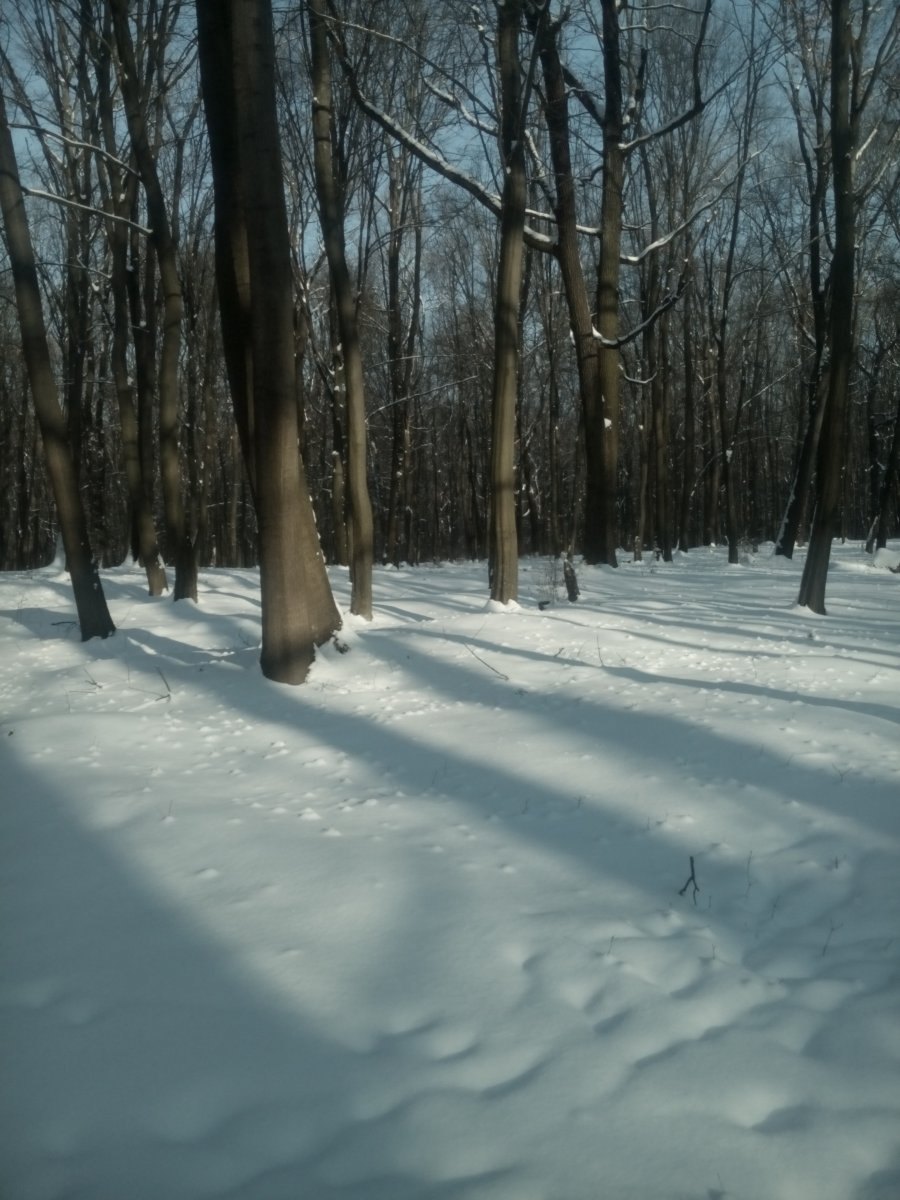 IMG_20170110_140108.jpg
