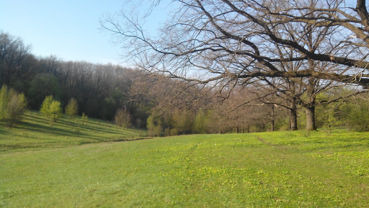 IMG_20170423_080249.jpg