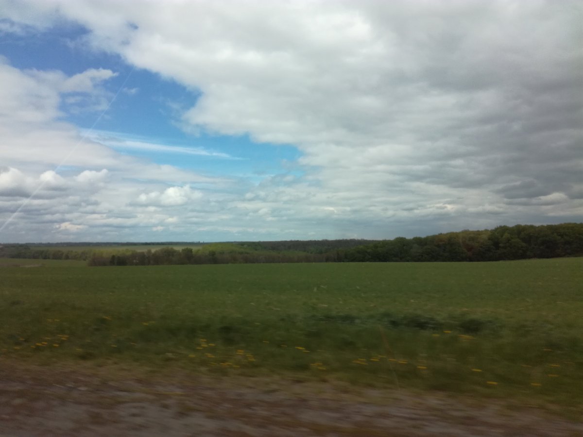 IMG_20170509_141609.jpg