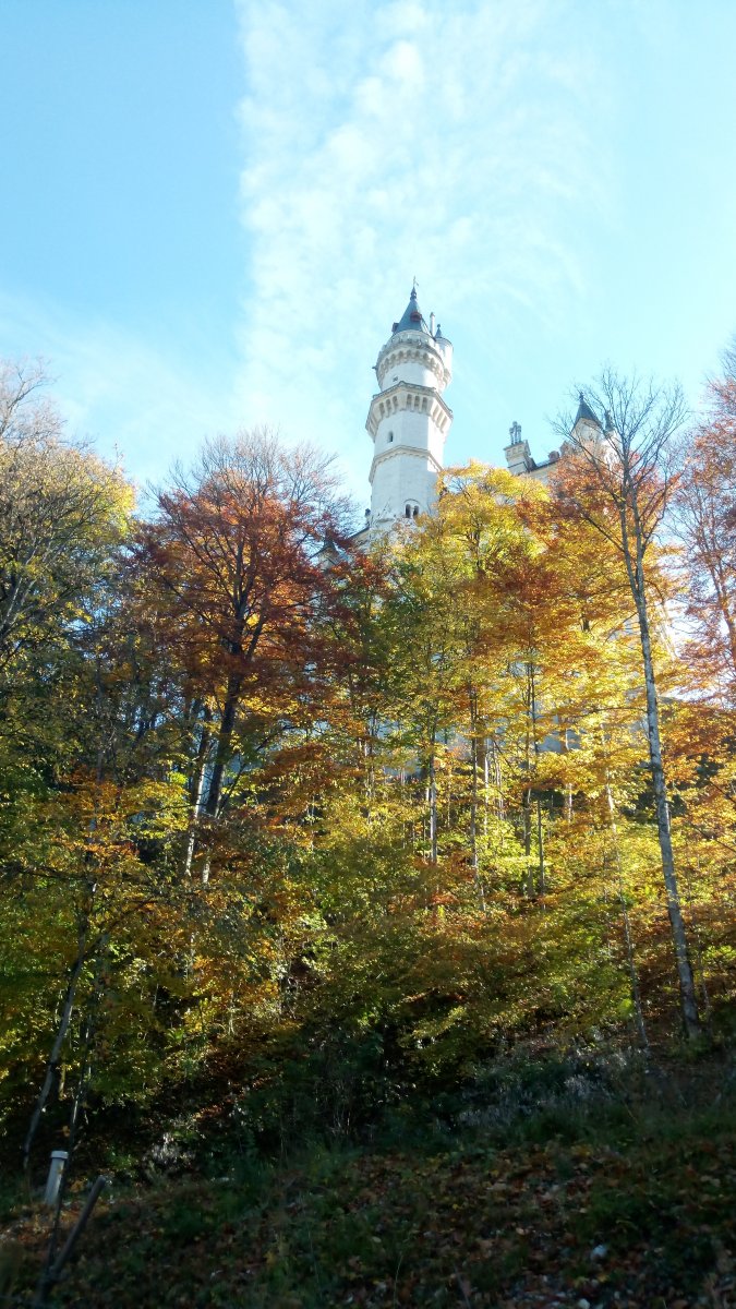 IMG_20171017_130828.jpg