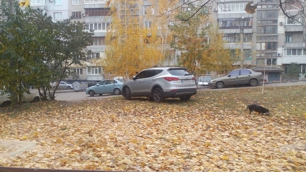 IMG_20171024_121835.jpg
