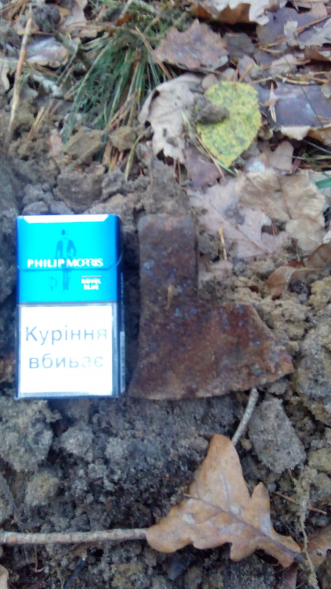 IMG_20171119_155042.jpg