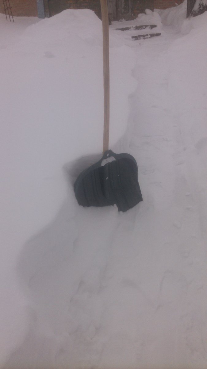 IMG_20180301_124700.jpg