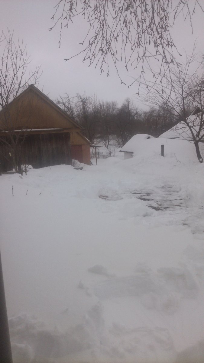 IMG_20180303_123619.jpg