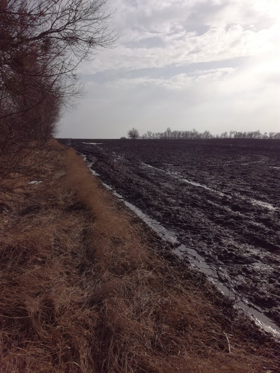 IMG_20180401_165750.jpg