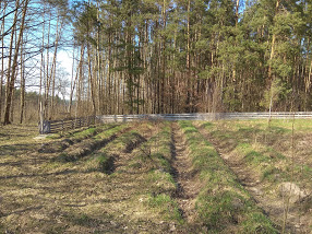 IMG_20180409_154219.jpg