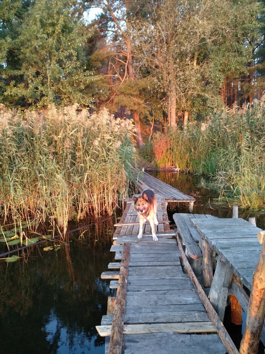 IMG_20180919_065045.jpg