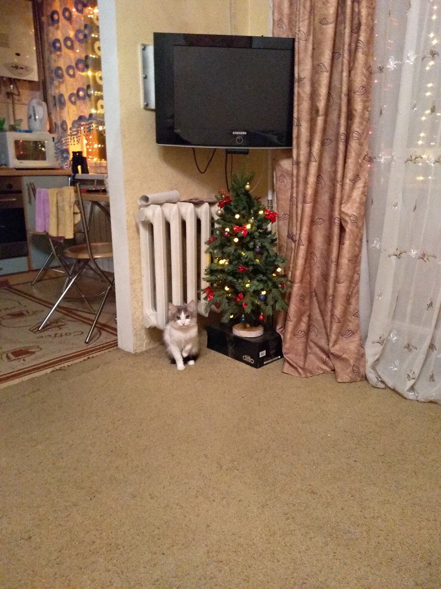 IMG_20181218_003537_HHT.jpg