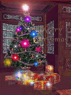 IMG_20181229_100954.jpg