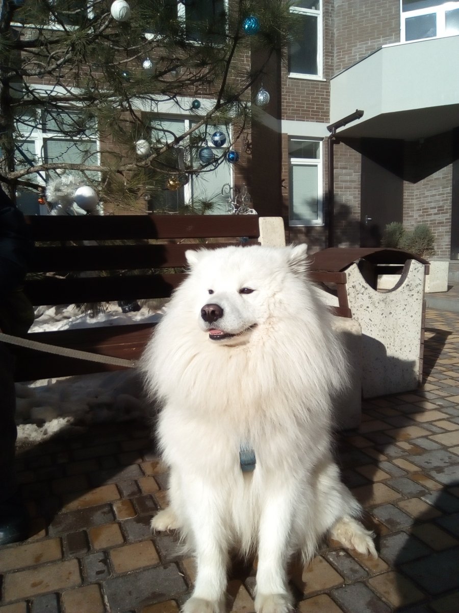 IMG_20190113_133605.jpg