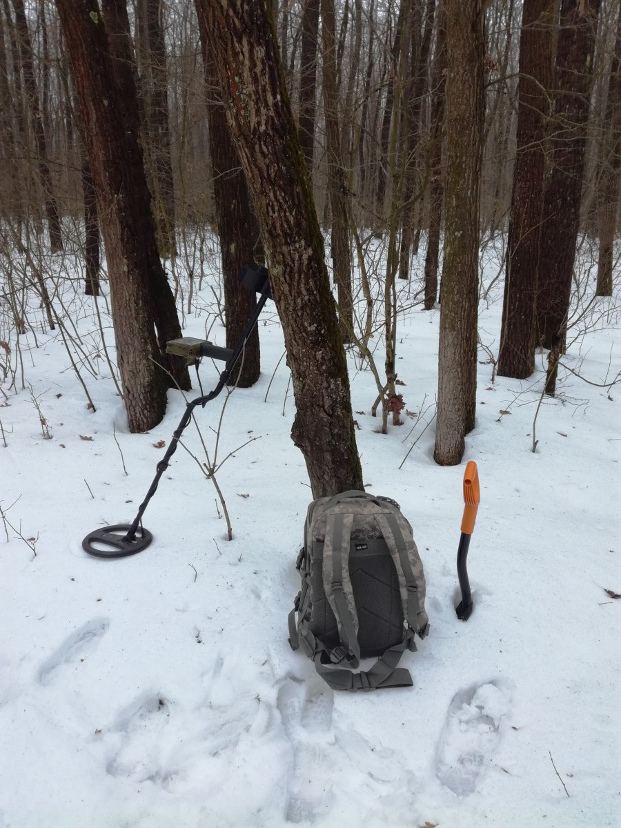 IMG_20190203_143203.jpg