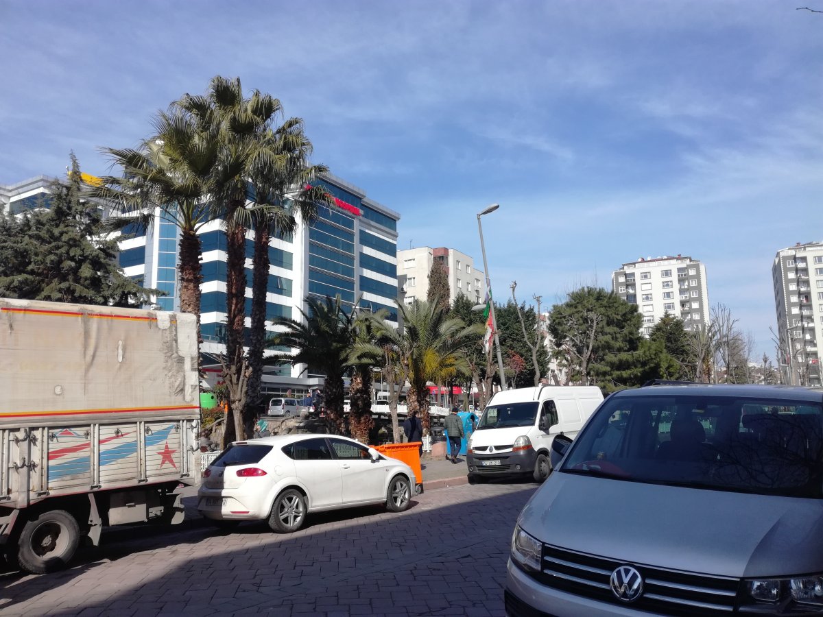 IMG_20190226_104513.jpg
