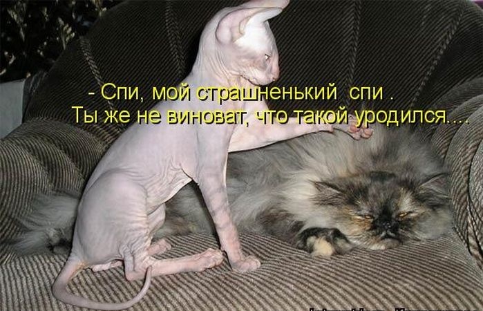 IMG_20190409_101840.jpg
