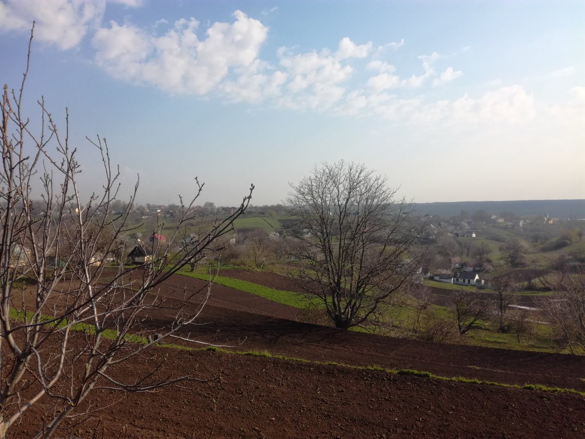 IMG_20190420_091639.jpg