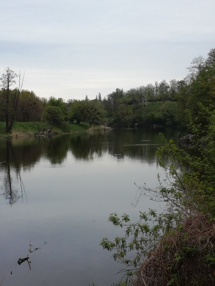 IMG_20190505_172040.jpg