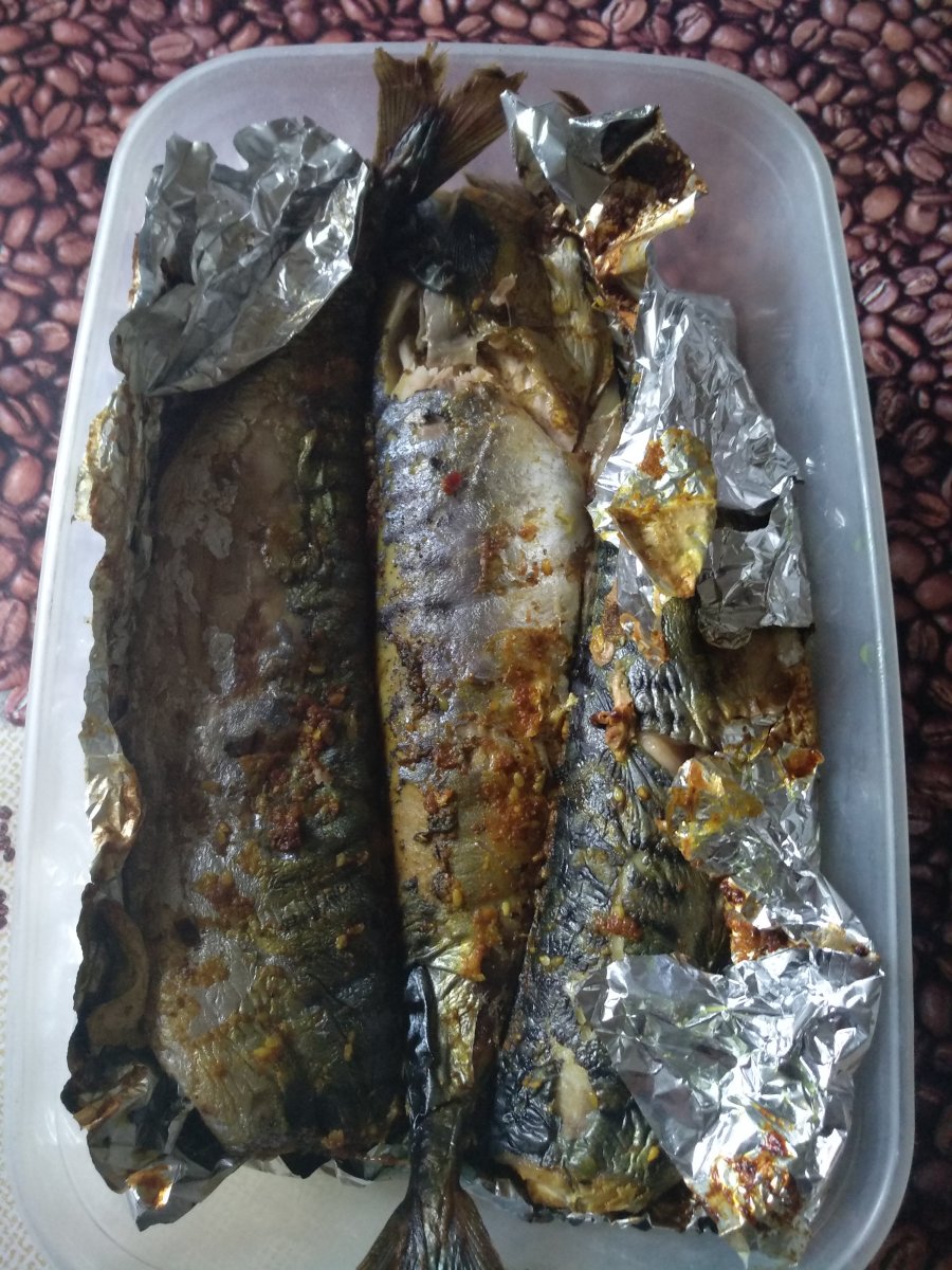 IMG_20190509_155424.jpg