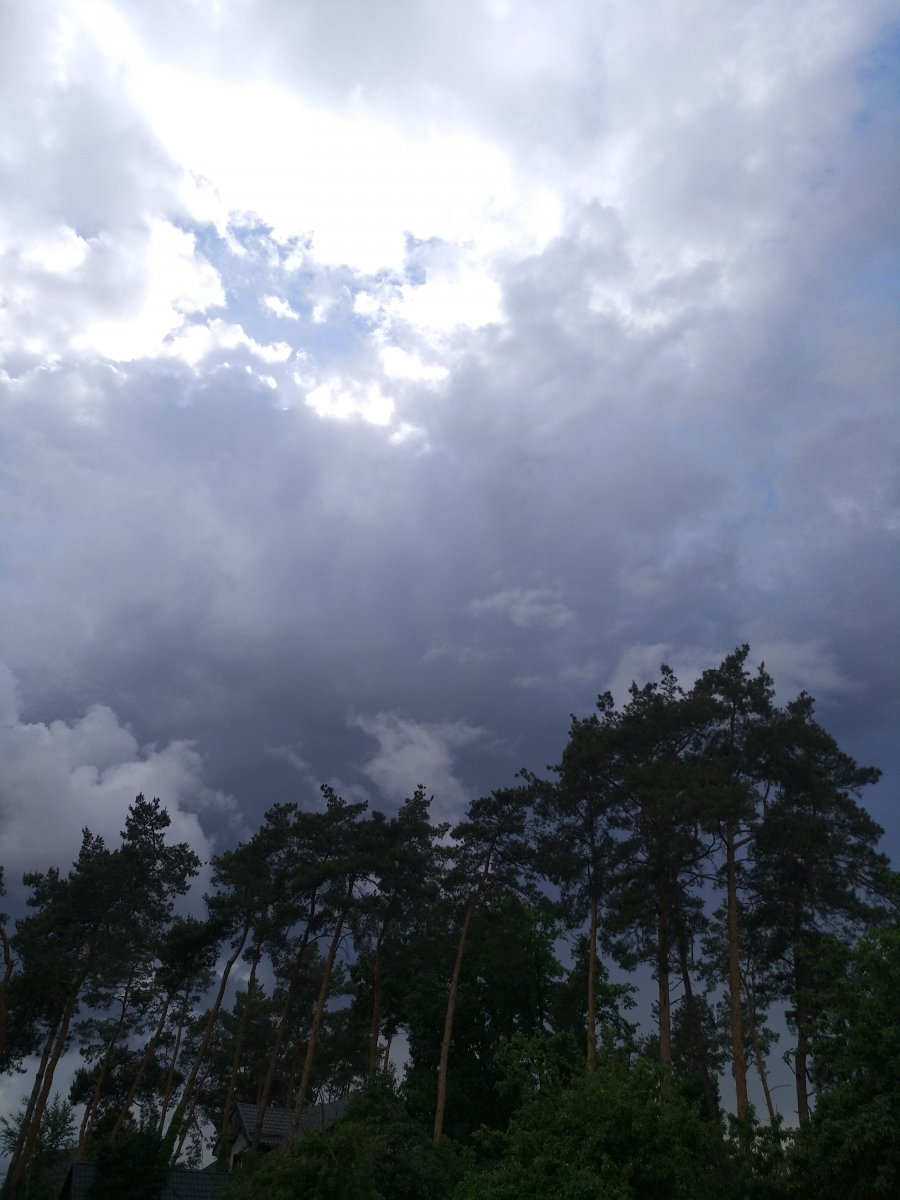 IMG_20190525_181905.jpg