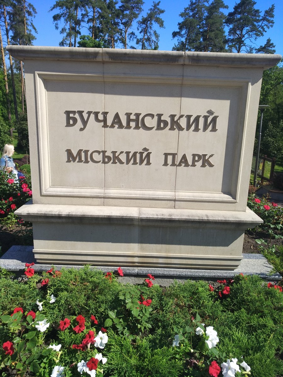 IMG_20190601_100525.jpg
