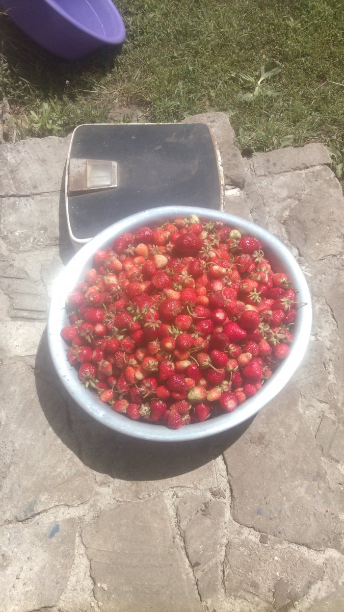 IMG_20190605_121947.jpg