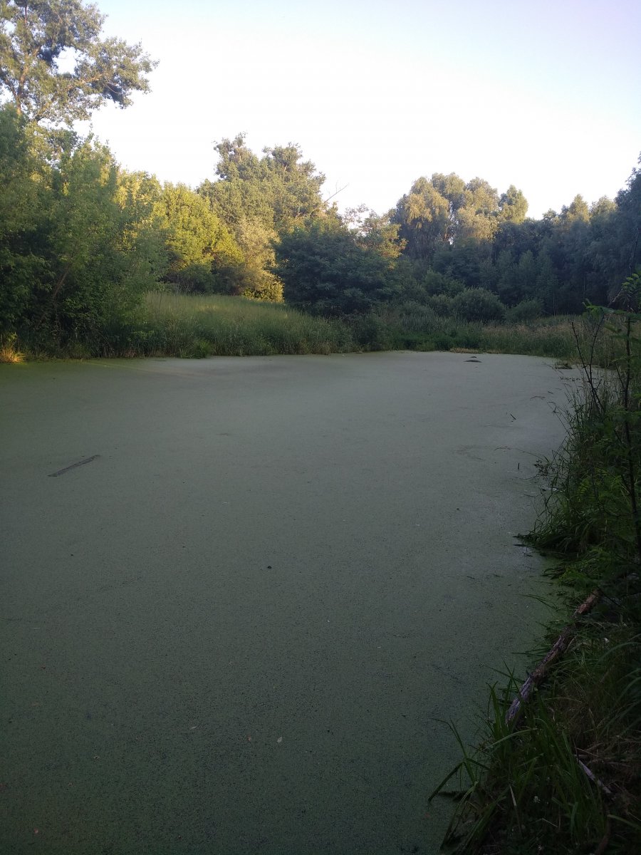 IMG_20190615_200029.jpg
