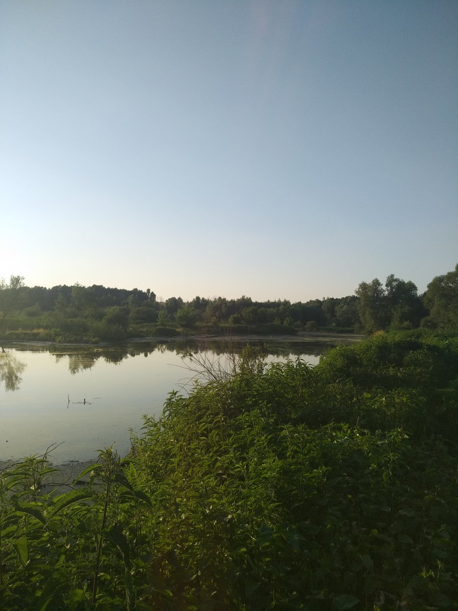 IMG_20190615_200527.jpg