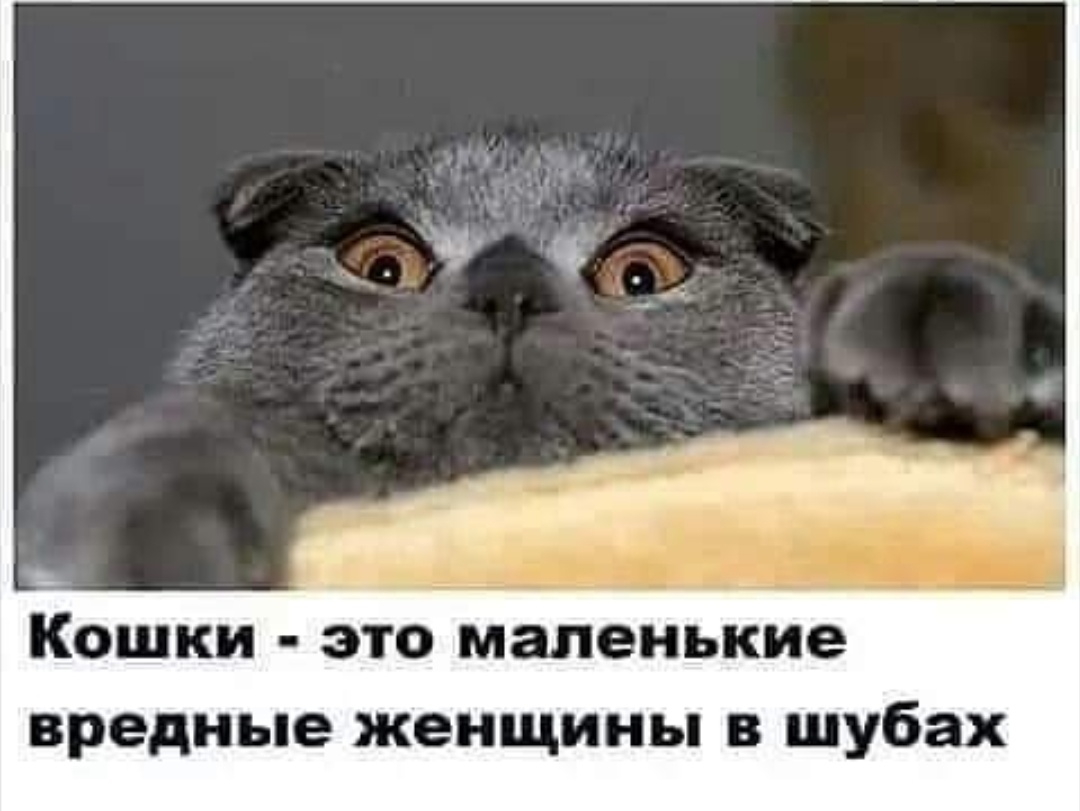 IMG_20190617_141515.jpg
