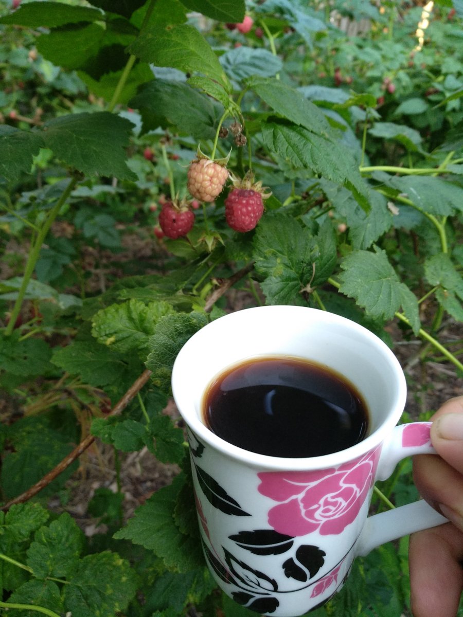 IMG_20190621_063727.jpg