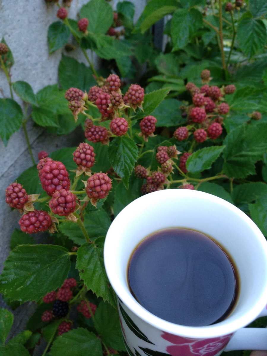 IMG_20190706_072413.jpg