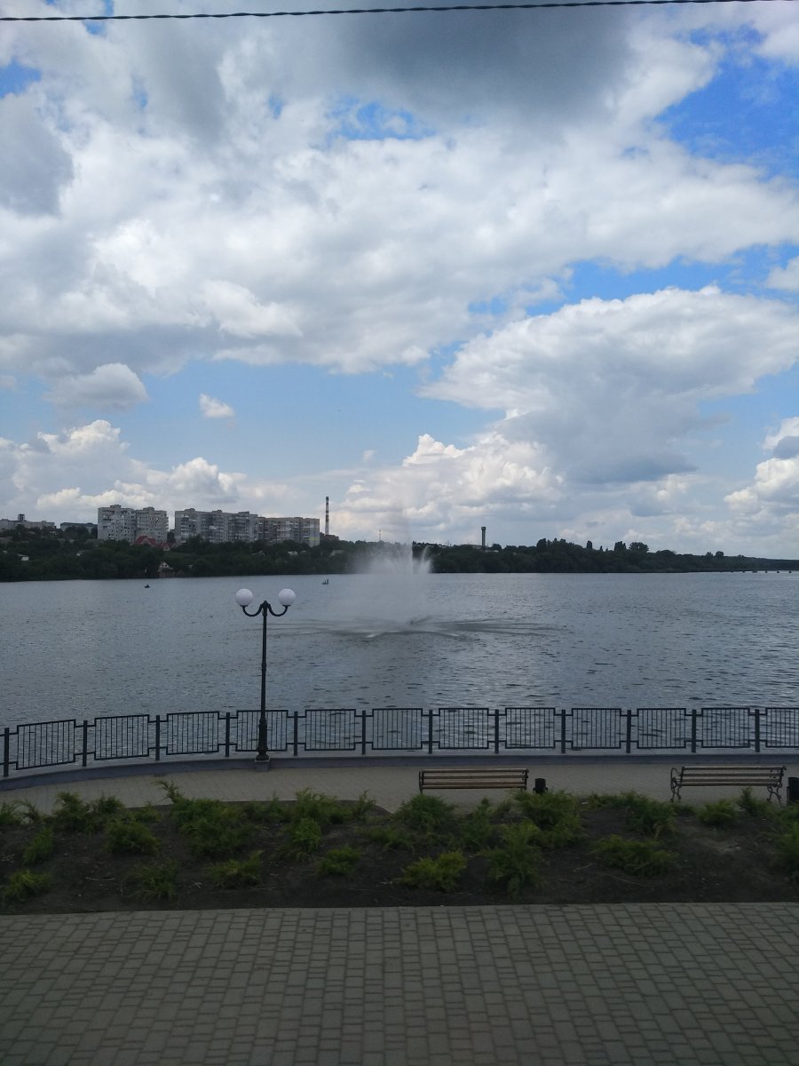 IMG_20190713_122954.jpg