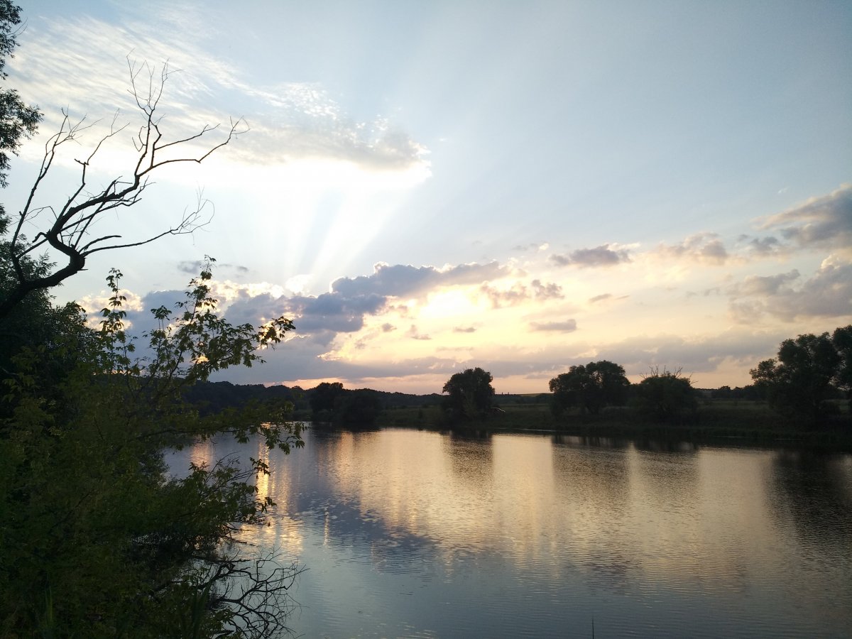 IMG_20190717_201422.jpg