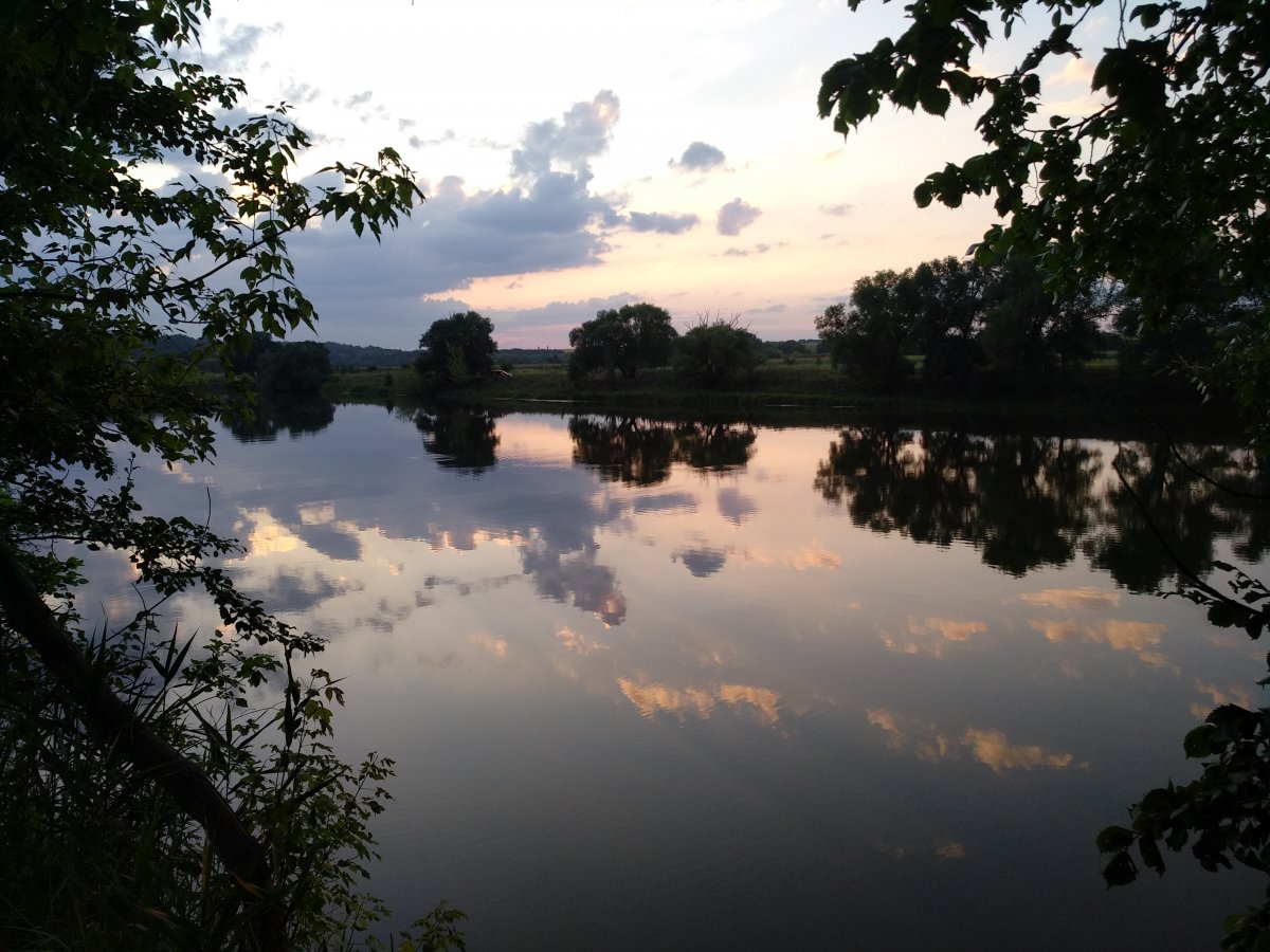 IMG_20190717_203319.jpg